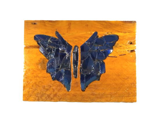 Macrocarpa Blue Butterfly
